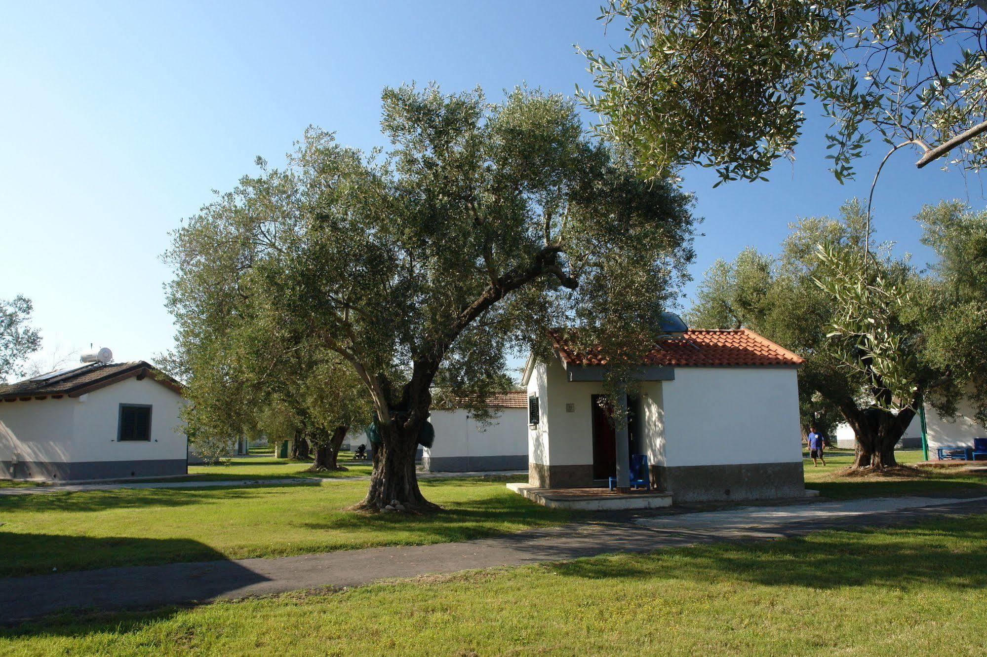 Villaggio Turistico Elea Ascea Esterno foto