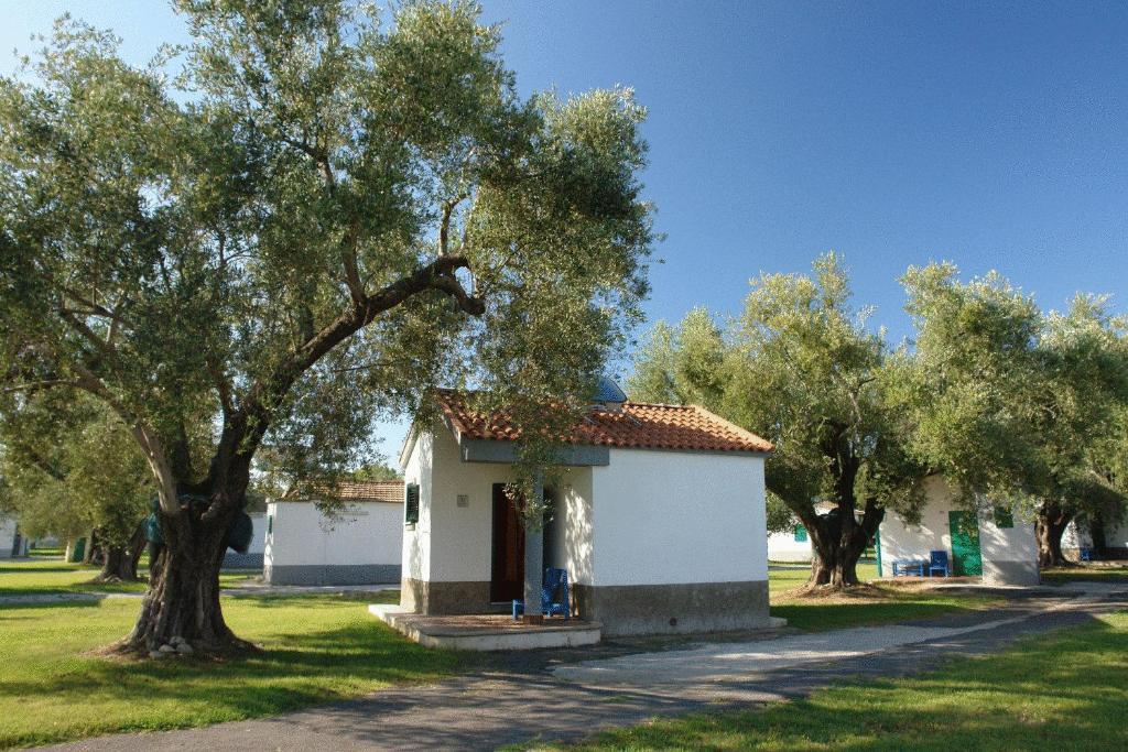 Villaggio Turistico Elea Ascea Esterno foto