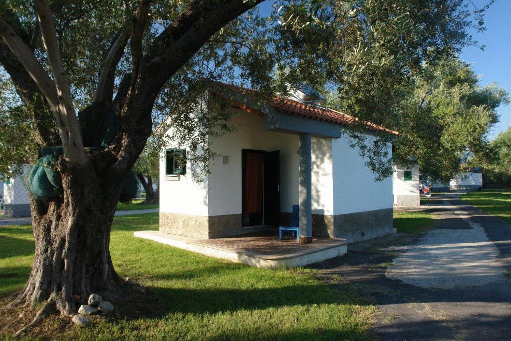 Villaggio Turistico Elea Ascea Esterno foto